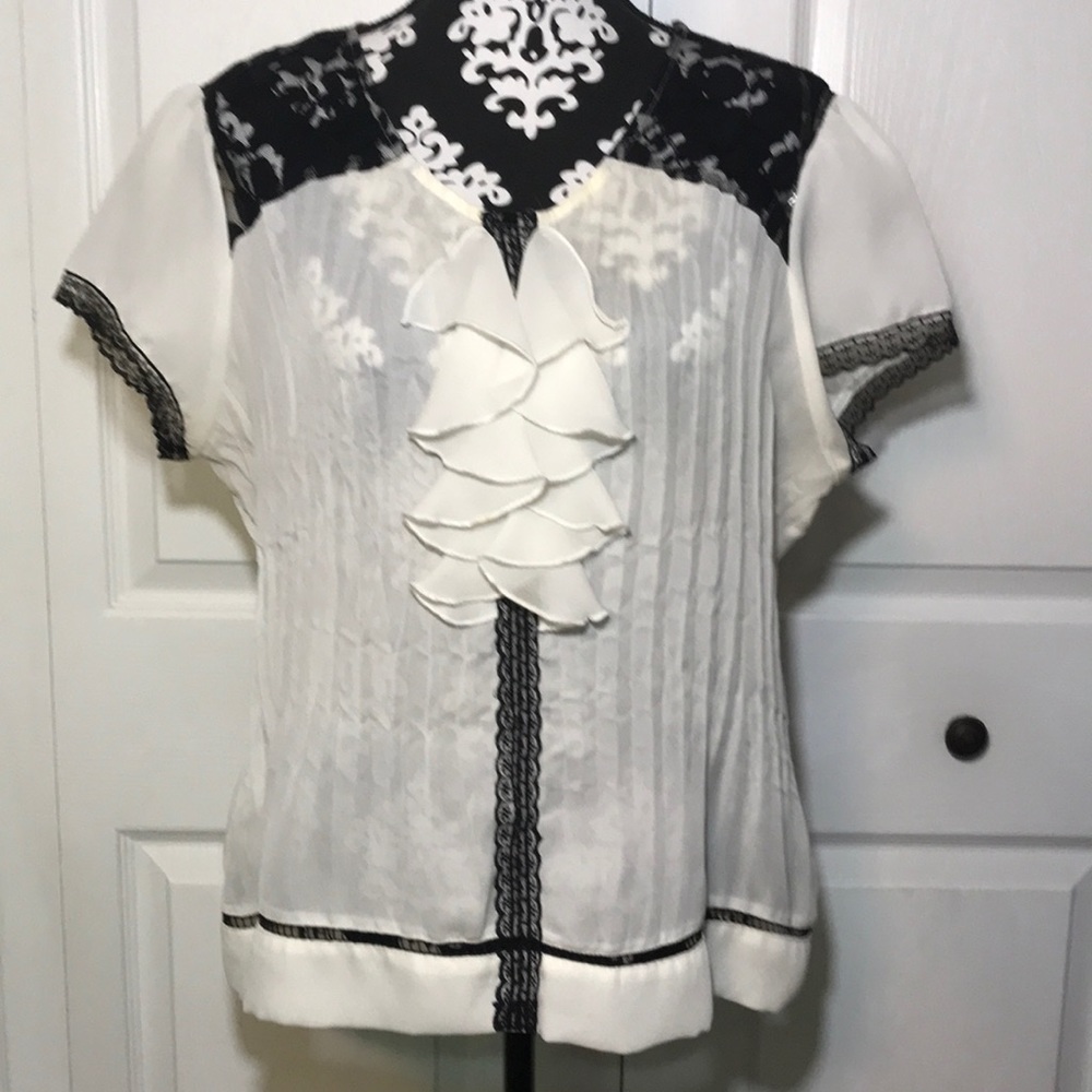 Notations Sheer Blouse